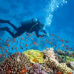 Дайвинг на Пхукете: исследование подводного мира Тайланда